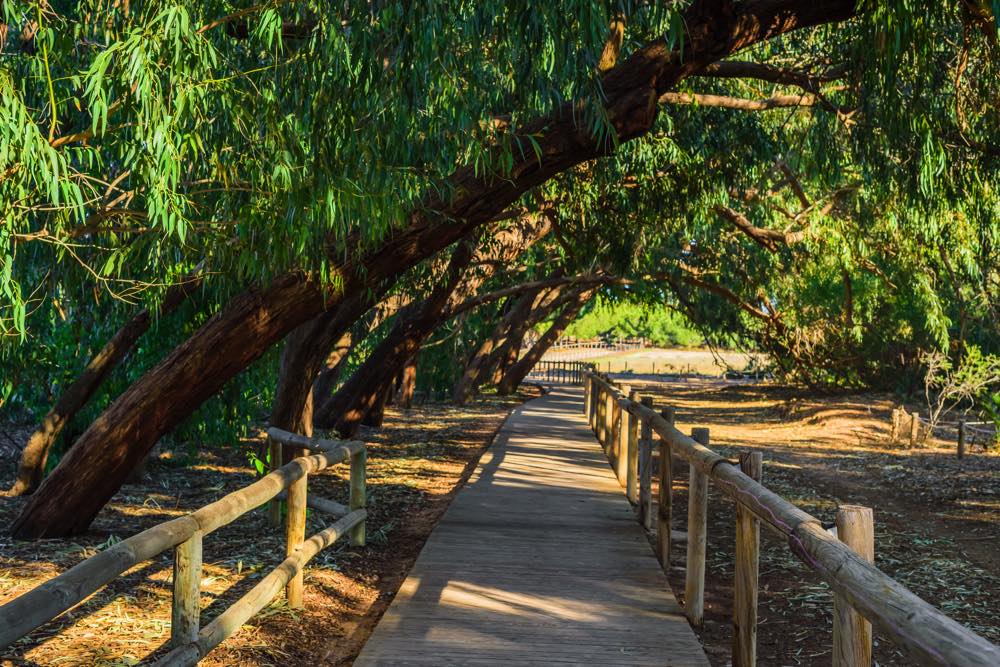 Parque natural de La Mata, Torrevieja