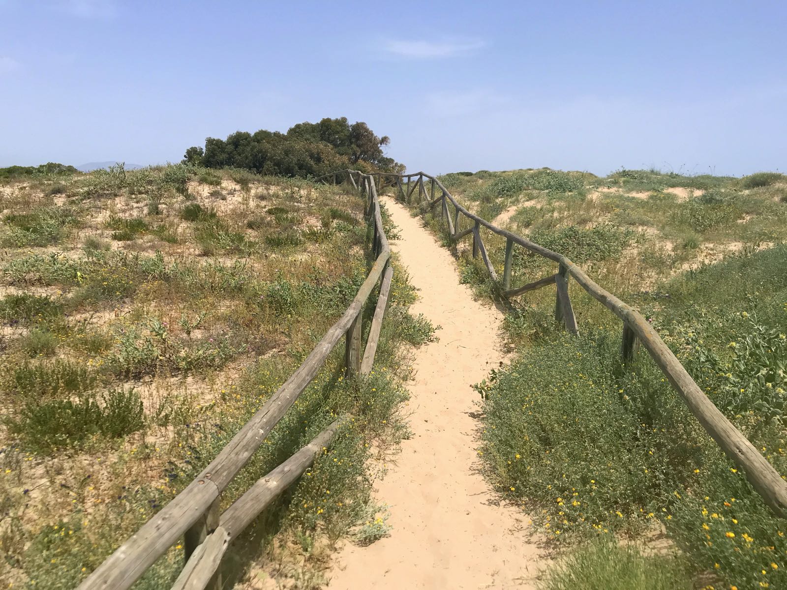 Microreserva Dunes de Pinet -luonnonsuojelualue