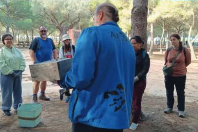 Lepakonpesien rakentelua, työpaja